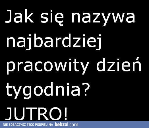 Najbardziej pracowity dzień