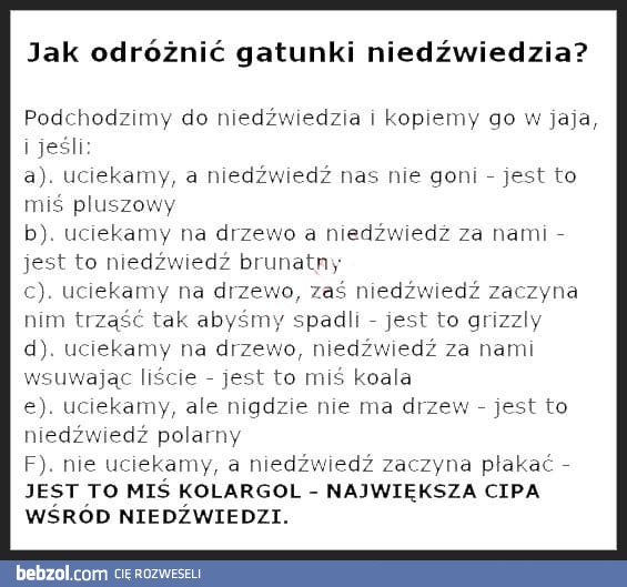 Jak odróżnić niedźwiedzie