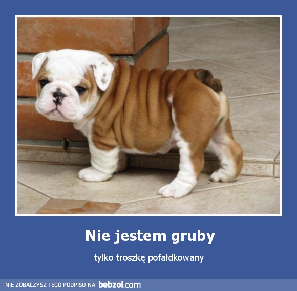 Nie jestem gruby