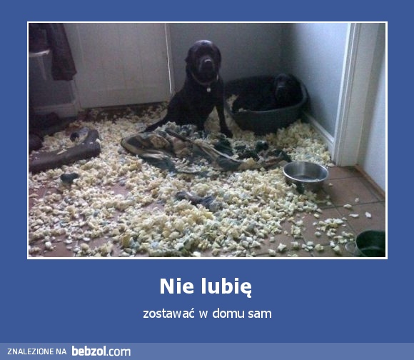 Nie lubię 