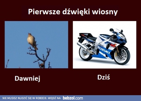 Pierwsze dźwięki wiosny