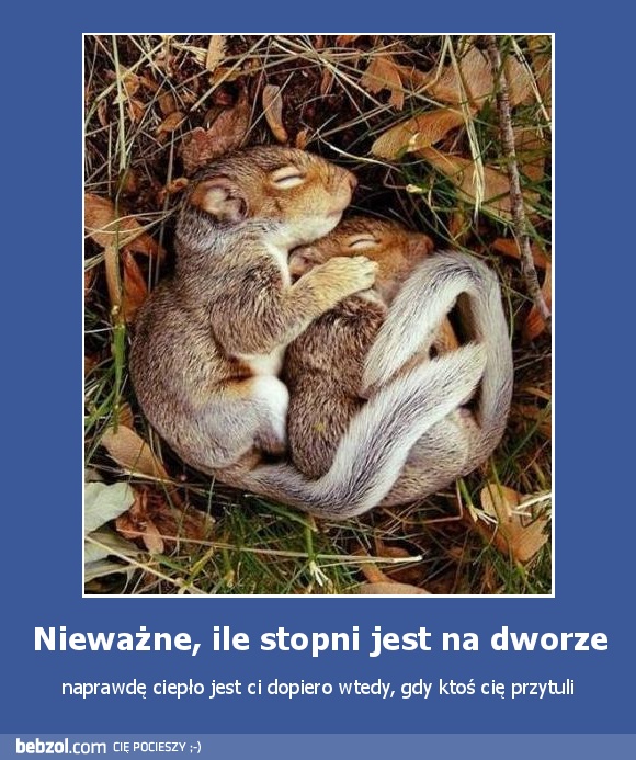 Nieważne, ile stopni jest na dworze