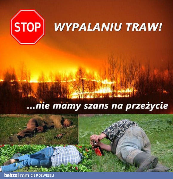 Oni nie uciekną! Nie wypalaj traw