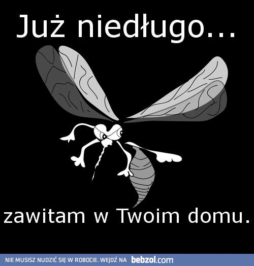 Już niedługo...