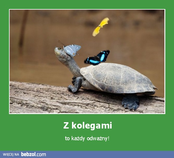 Z kolegami