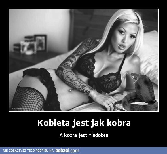 Kobieta jest jak kobra