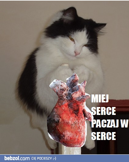 Miej serce paczaj w serce