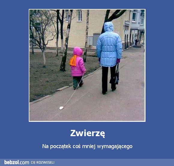 Zwierzę