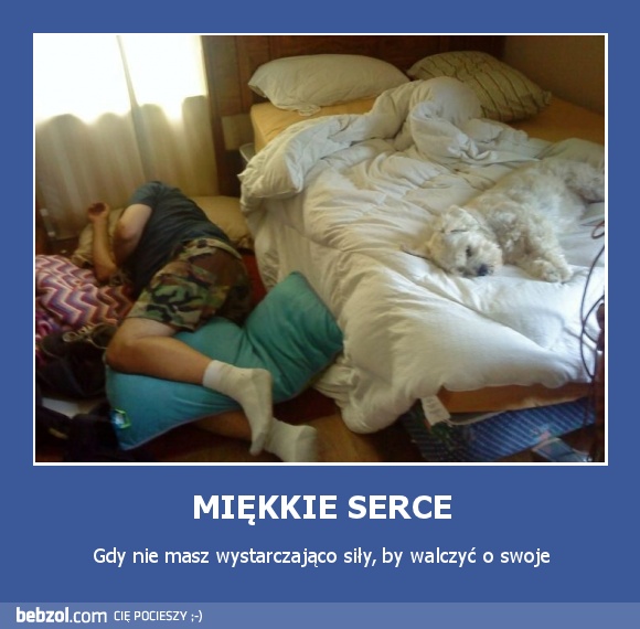 MIĘKKIE SERCE