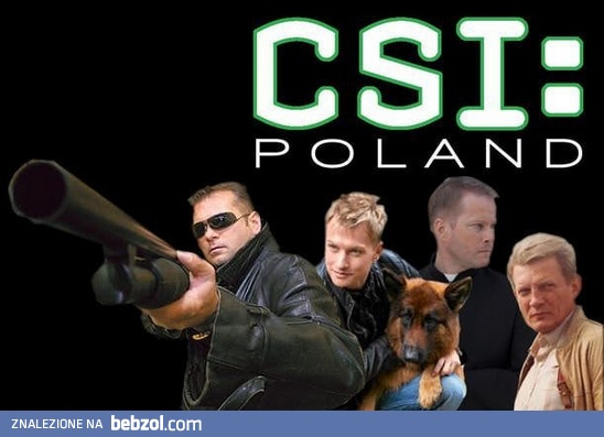 CSI: Polska