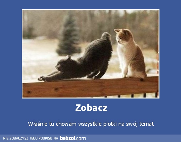 Zobacz