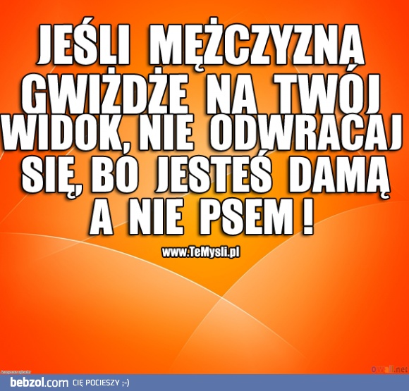 Jesteś damą!