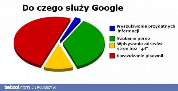 Do czego służy google?