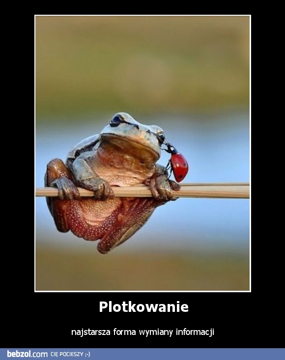 Plotkowanie