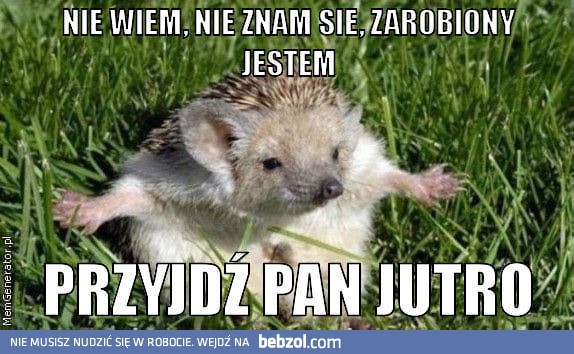 Nie wiem... Przyjdź Pan jutro!