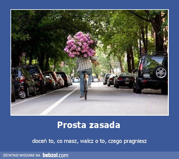 Prosta zasada 