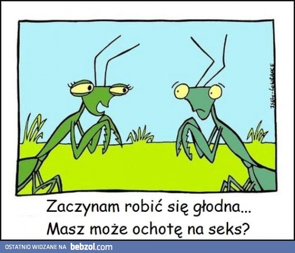 Propozycja z drugim dnem