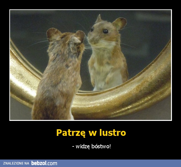 Patrzę w lustro