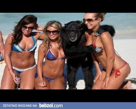 Kompilacja kobiecych wpadek - 2012