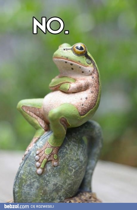 Kategorycznie odmawiam