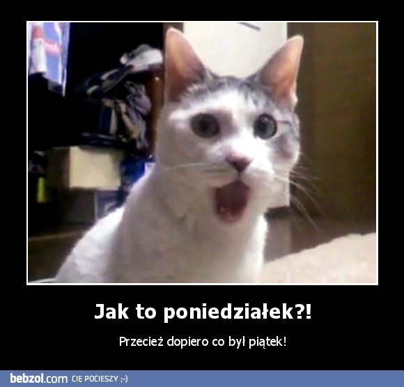 Jak to poniedziałek?!