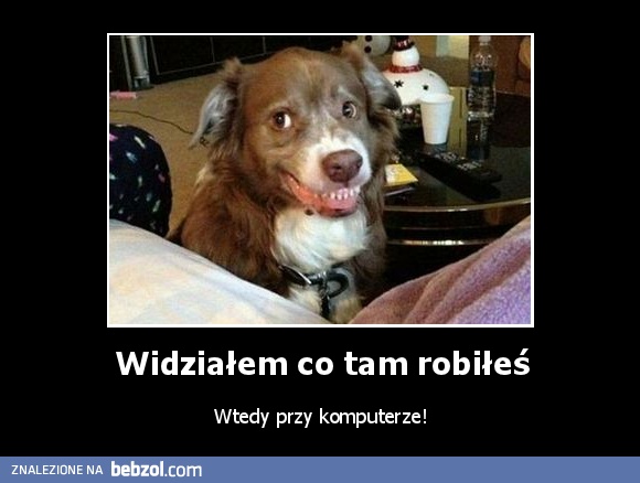 Widziałem co tam robiłeś