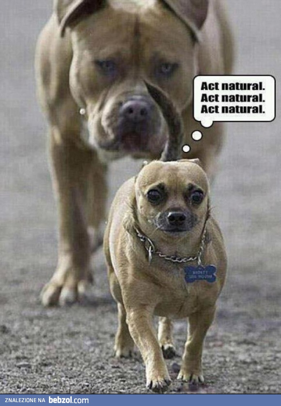 Jakoś to przejdziemy!