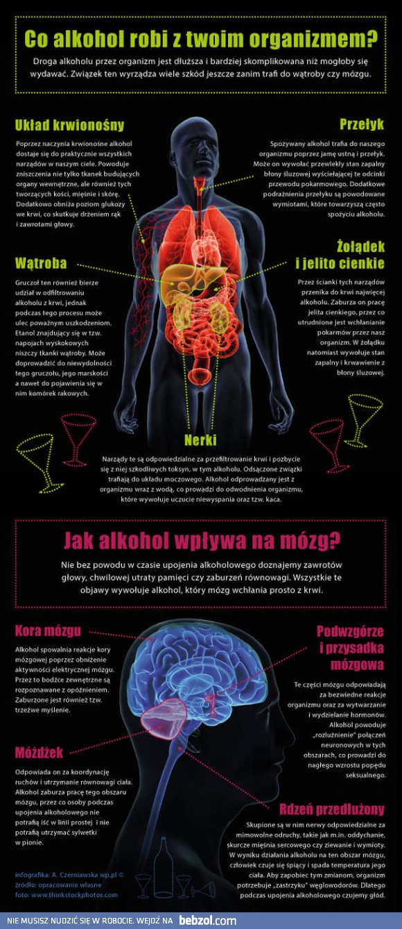 Co alkohol robi z twoim organizmem?