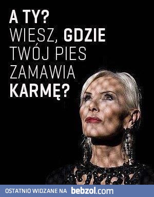 Pies złoczyńca