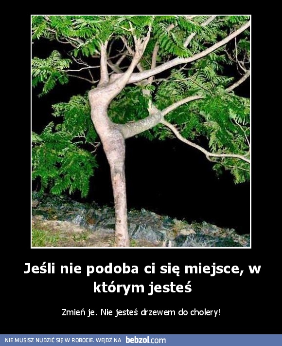 Jeśli nie podoba ci się miejsce, w którym jesteś