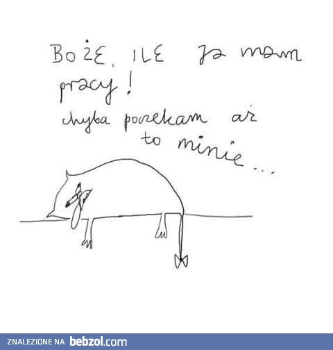 Boże, ile pracy!