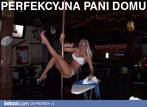 Perfekcyjna pani domu