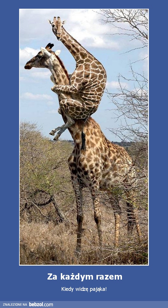 Za każdym razem