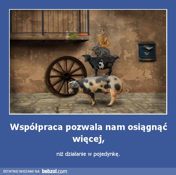 Współpraca pozwala nam osiągnąć więcej,