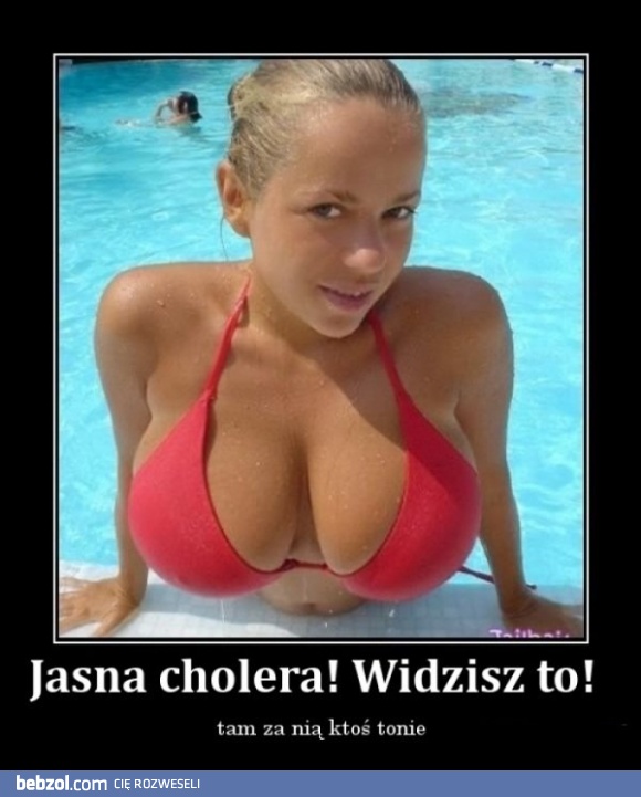 Widzisz to?!