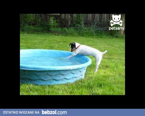 Delikatność nie gwarantuje wyników