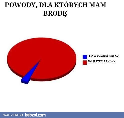 Mam brodę, ponieważ...