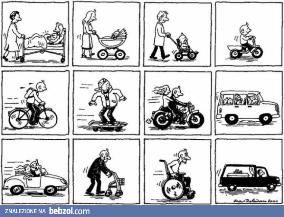 Życie to niezła jazda