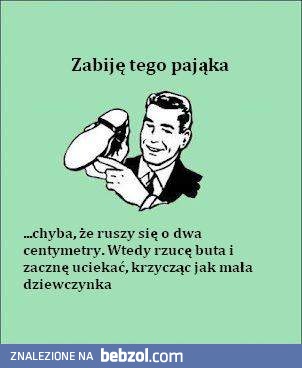 Zabiję tego pająka!