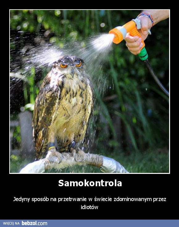 Samokontrola