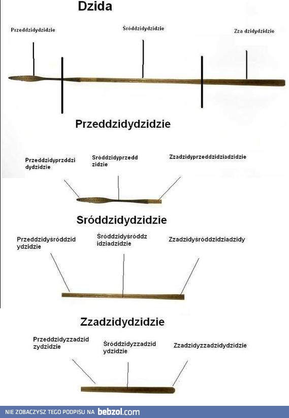 Części składowe dzidy