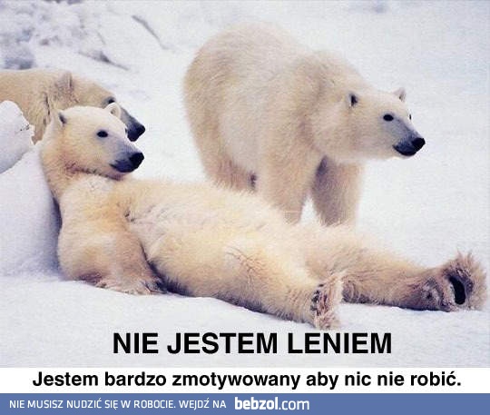 Nie jestem leniem