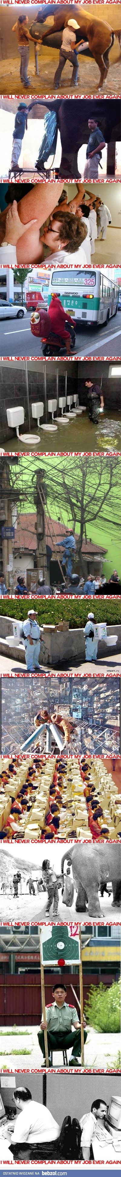 Nigdy nie będę narzekał na swoją pracę!