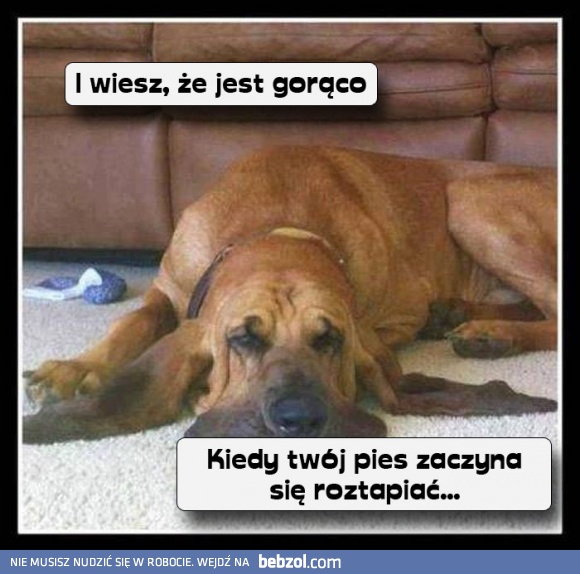 Po czym poznać, że jest gorąco?