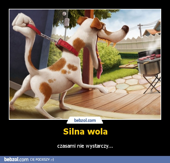 Silna wola