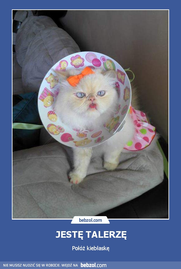 JESTĘ TALERZĘ