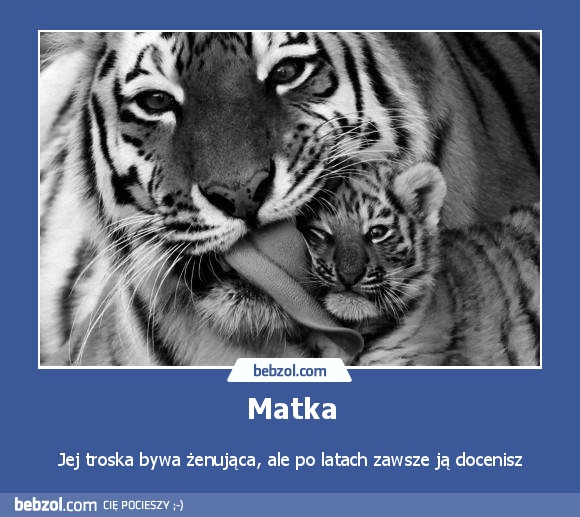 Matka