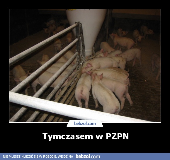 Tymczasem w PZPN