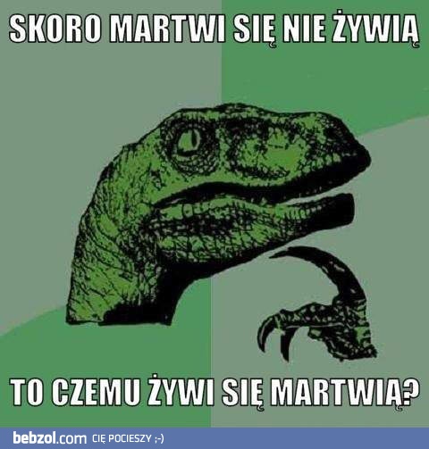 No właśnie!
