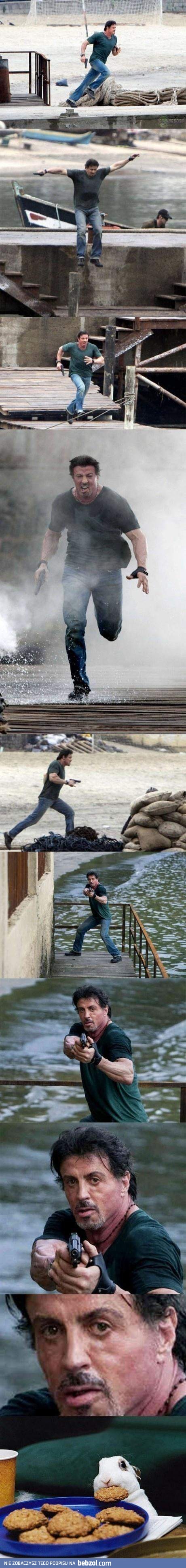 Nie zadzieraj ze Stallonem